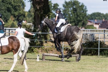 Bild 119 - Pony Akademie Turnier